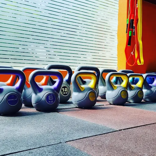 Battle ropes placeholder — swap me